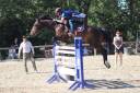 Vends cheval de sport