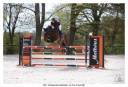 Super cheval d’amateur 