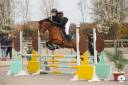 Jument 4 ans CSO