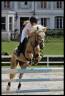 Ponette pfs 
