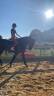 Cheval 11 ans 