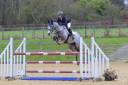 Jument pour CSO ou CCE