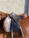 Selle delgrange Athena 17p 