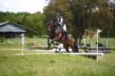 Superbe Entier - 5 ans - CCE