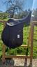 Selle Wintec Marron 17,5"