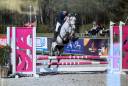 Poney D potentiel CCE/CSO (Vet check + Xrays OK )