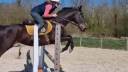 Magnifique PS 6  ans CSO CROSS COMPLET 