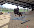Juments CSO CCE 4 ans