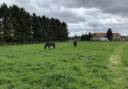 Pension 100% pré isneauville