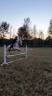 Cheval gentille à vendre 