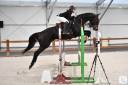 Top cheval 