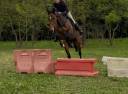 Jument 3 ans pp assurance vie 