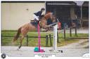 Cheval de sport 6 ans CSO/CCE 