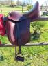 Selle dressage cwd