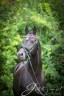 Le top de l'étalon poney de DRESSAGE : UNDER COVER FAST