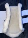 Guetres dressage Waldhausen