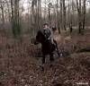 Jument Pur Sang Anglais