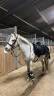 demi pension poney 