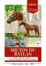 Saillie étalon Poney Landais 