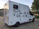 Camion chevaux renault master carrosserie neuve