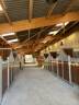Quelques places disponibles au Haras de L’Auzance !