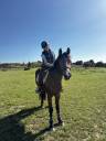 Ponette New Forest PP 