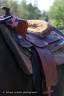 Selle western 