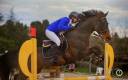 Cheval a prendre en dp 