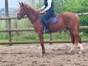 Don Iron Belle Ms