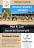 Moniteur / Monitrice d'équitation