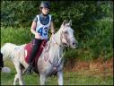 Bridon licol rênes collier de chasse martingale SP Fran