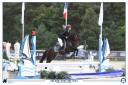 Poney B pour p élite CSO