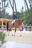 Cheval de 10ans