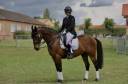 A vendre - Elwan d’Uranie 