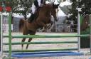 Jument 9 ans Super amateur 105/110