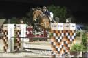 Cheval CSO - Dressage