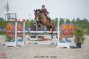 Hongre 11 ans par JARNAC 