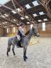 Poney de 3 ans 