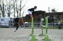Jument CSO amateur à vendre 115-120 
