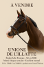 UNIONE DE L'ILATTE étalon certifié fils de quasimodo Z