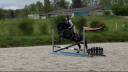 Magnifique poney de loisir polyvalent, 5 ans, grand D