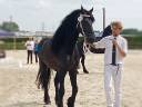 FRISON ENTIER PP