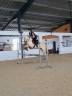 Pension paddock 