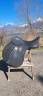 Selle wintec 