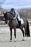 Poney dressage FEI