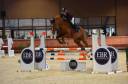 Dp cheval de sport 