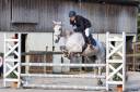 Cheval de sport 16 ans maitre d'école
