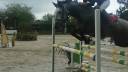 Ponette D 7 ans