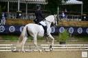 PRE - 11 ans - Dressage - Expérience en compétition 