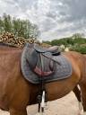 Selle  Forestier Boeckelo 
